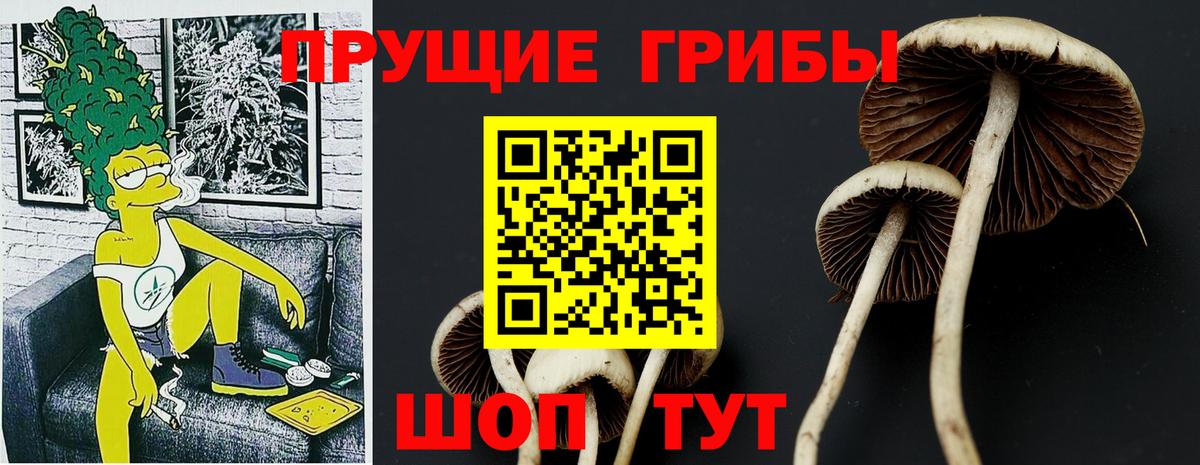 Печора  Галлюциногенные грибы Psilocybe  Вход с VPN 
